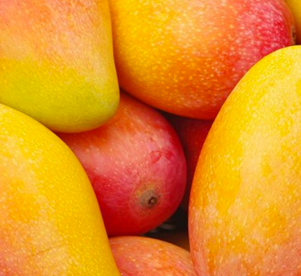 Organic mangos