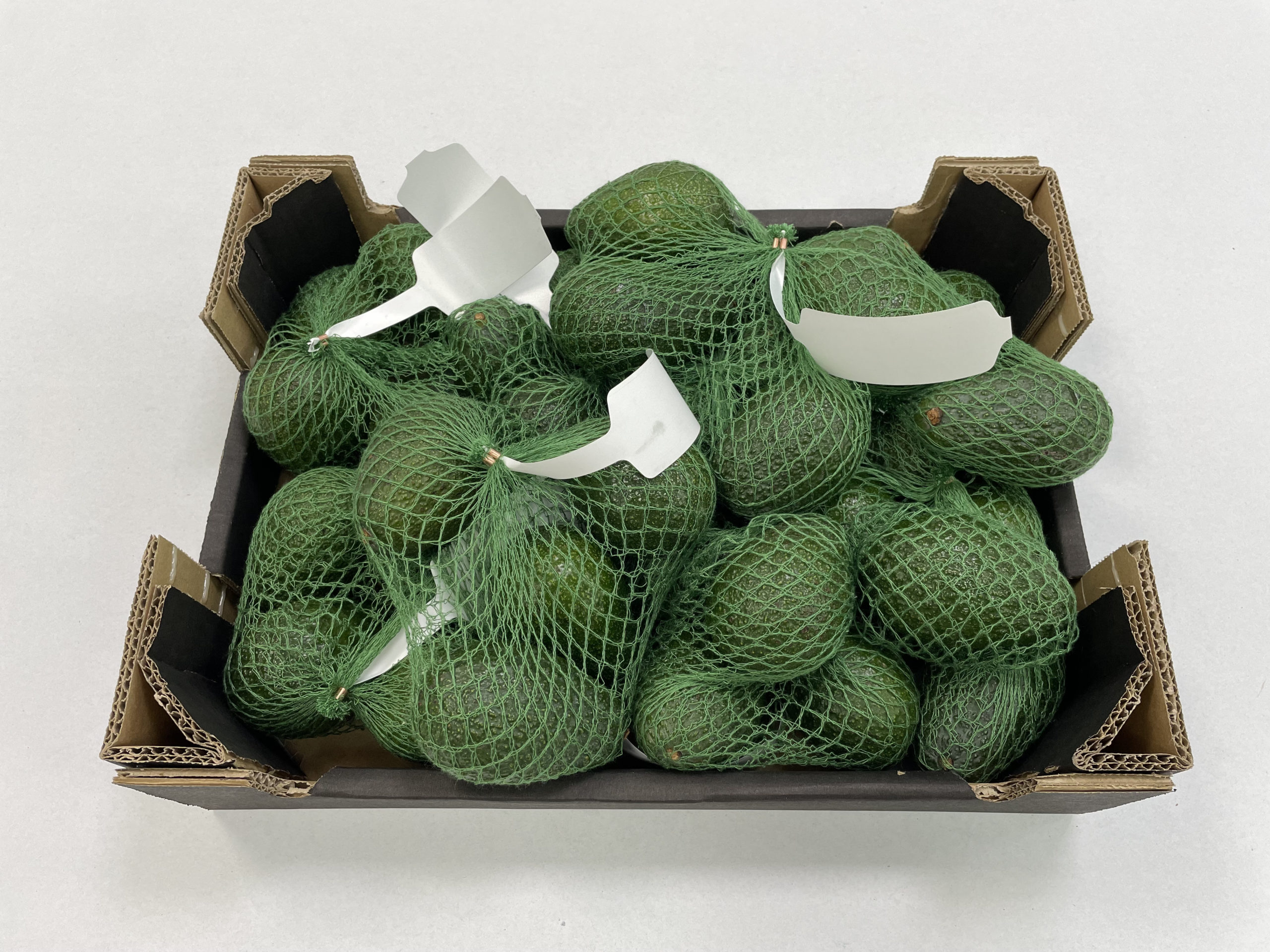 aguacate-malla-compostable-1kg-1